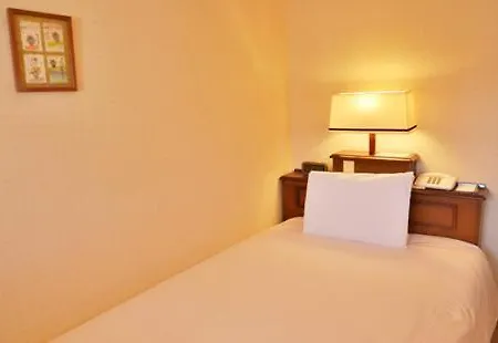 City Pension Zem Tokyo Room photo